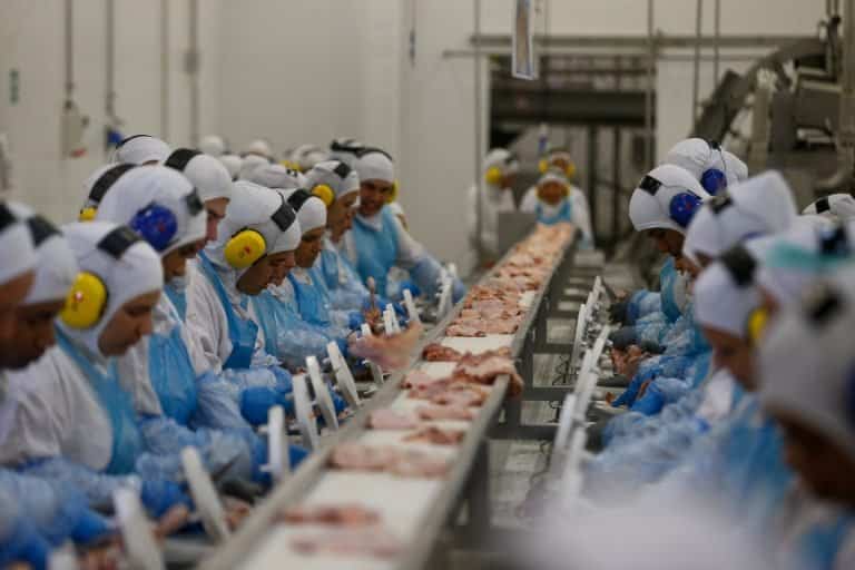 Controlador de Produção - SEARA