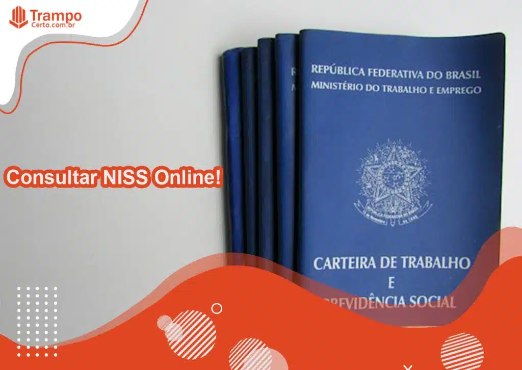 consultar NISS online